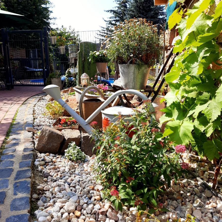 Gaestewohnung Am Thuemmlitzwald Grimma Exterior foto